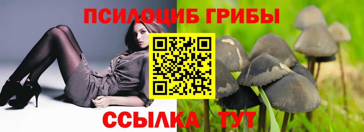 Звенигород  наркотики  Вход с VPN  Галлюциногенные грибы GOLDEN TEACHER 